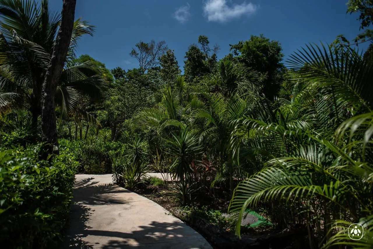 Anah Village Akumal